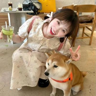 首尔破笑组